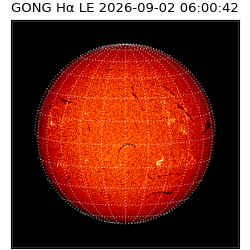 gong - 2026-09-02T06:00:42