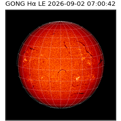 gong - 2026-09-02T07:00:42