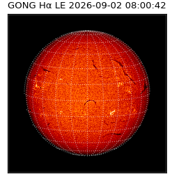 gong - 2026-09-02T08:00:42