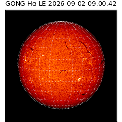 gong - 2026-09-02T09:00:42