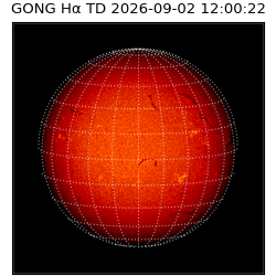 gong - 2026-09-02T12:00:22