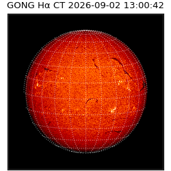 gong - 2026-09-02T13:00:42