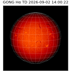 gong - 2026-09-02T14:00:22