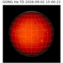 gong - 2026-09-02T15:00:22