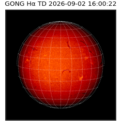 gong - 2026-09-02T16:00:22
