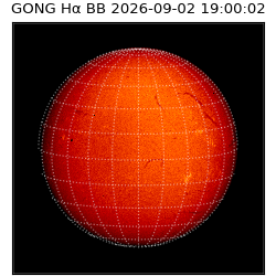 gong - 2026-09-02T19:00:02