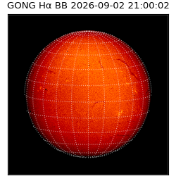 gong - 2026-09-02T21:00:02