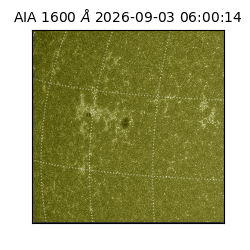 saia - 2026-09-03T06:00:14.120000