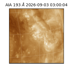 saia - 2026-09-03T03:00:04.840000