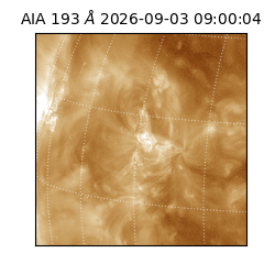 saia - 2026-09-03T09:00:04.840000