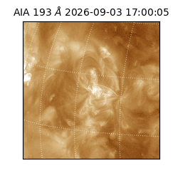 saia - 2026-09-03T17:00:05.230000