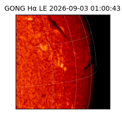 gong - 2026-09-03T01:00:43