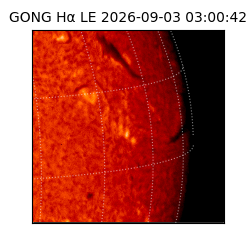 gong - 2026-09-03T03:00:42