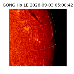 gong - 2026-09-03T05:00:42