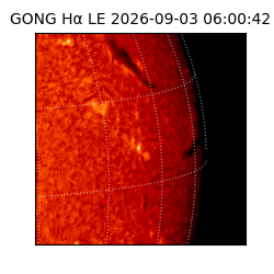 gong - 2026-09-03T06:00:42