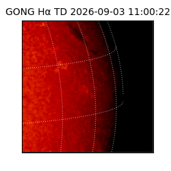 gong - 2026-09-03T11:00:22