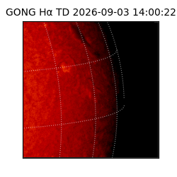 gong - 2026-09-03T14:00:22