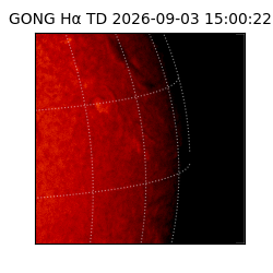 gong - 2026-09-03T15:00:22