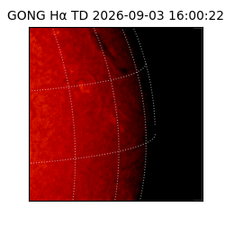 gong - 2026-09-03T16:00:22