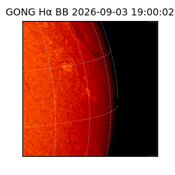 gong - 2026-09-03T19:00:02