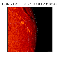 gong - 2026-09-03T23:18:42