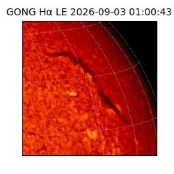 gong - 2026-09-03T01:00:43