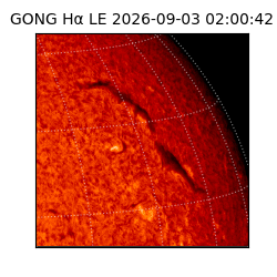 gong - 2026-09-03T02:00:42