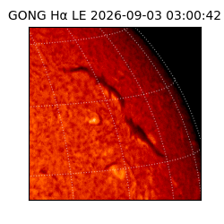 gong - 2026-09-03T03:00:42