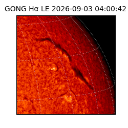 gong - 2026-09-03T04:00:42