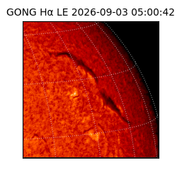 gong - 2026-09-03T05:00:42