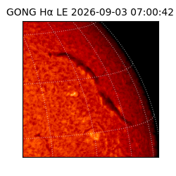 gong - 2026-09-03T07:00:42