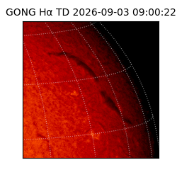 gong - 2026-09-03T09:00:22