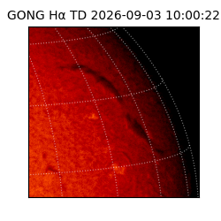 gong - 2026-09-03T10:00:22
