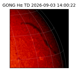 gong - 2026-09-03T14:00:22