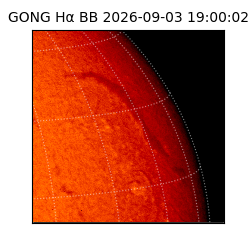 gong - 2026-09-03T19:00:02