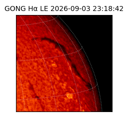 gong - 2026-09-03T23:18:42