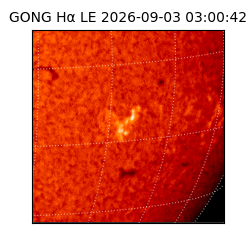 gong - 2026-09-03T03:00:42