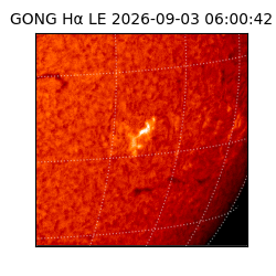 gong - 2026-09-03T06:00:42