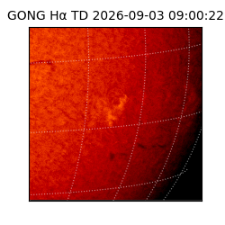 gong - 2026-09-03T09:00:22