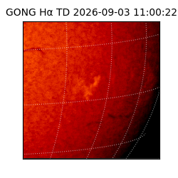 gong - 2026-09-03T11:00:22