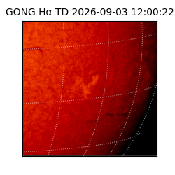 gong - 2026-09-03T12:00:22