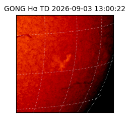 gong - 2026-09-03T13:00:22