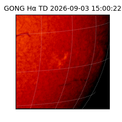 gong - 2026-09-03T15:00:22