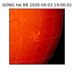 gong - 2026-09-03T19:00:02