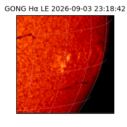 gong - 2026-09-03T23:18:42