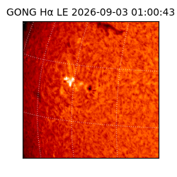 gong - 2026-09-03T01:00:43
