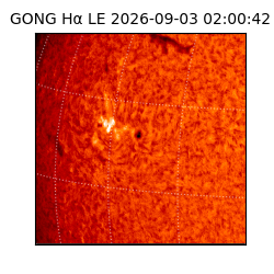 gong - 2026-09-03T02:00:42