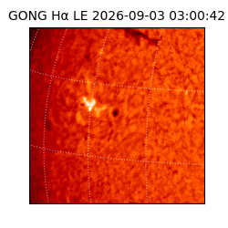 gong - 2026-09-03T03:00:42