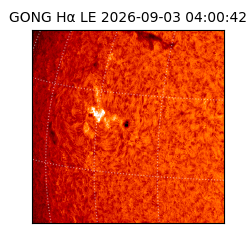 gong - 2026-09-03T04:00:42