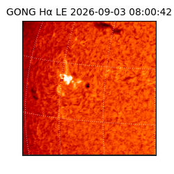 gong - 2026-09-03T08:00:42